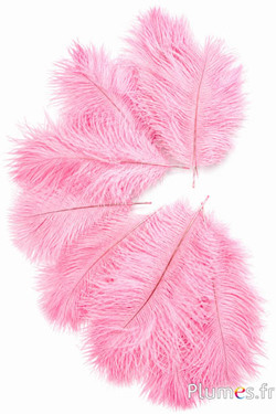 Struzzo Bellies - 8-13 cm - rosa